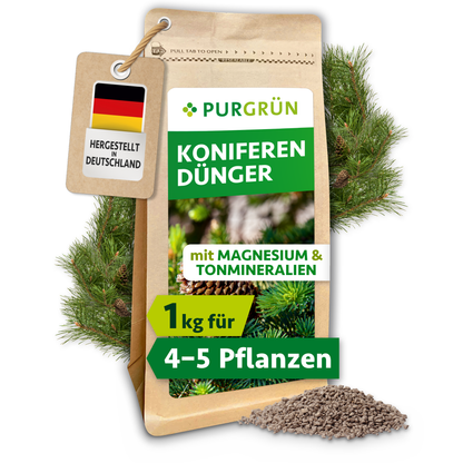 Purgrün Koniferendünger im 1-kg-Kraftpapierbeutel, umgeben von Koniferenzweigen, Zapfen und feinem Granulat.