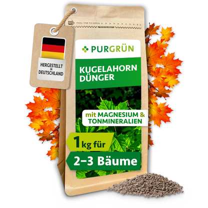 Purgrün Kugelahorn-Dünger im 1-kg-Beutel, mit Magnesium und Tonmineralien für ca. 2–3 Kugelahorne; daneben Granulat und Herbstlaub.