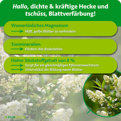 Wasserlösliches Magnesium hilft, gelbe Blätter zu verhindern, Tonmineralien fördern das Bodenleben. 8 % Stickstoff sorgen für gleichmäßiges Pflanzenwachstum und unterstützen die Bildung neuer Blätter.