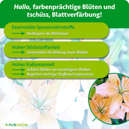 Essenzielle Spurennährstoffe verlängern die Blühdauer, Stickstoff unterstützt neue Blätter und Kalium schützt Blüten vor vorzeitigem Welken und reguliert wichtige Stoffwechselprozesse.