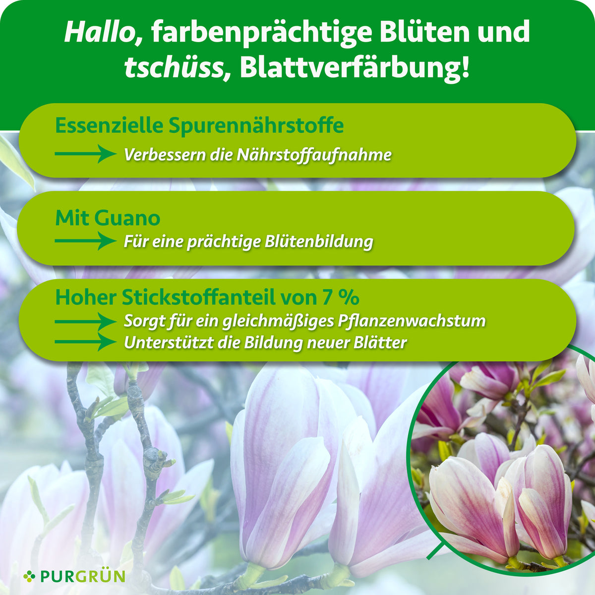 Spurennährstoffe verbessern die Nährstoffaufnahme und 7 % Stickstoff unterstützen gleichmäßiges Wachstum sowie neue Blätter. Mit Guano für eine prächtige Blütenbildung.