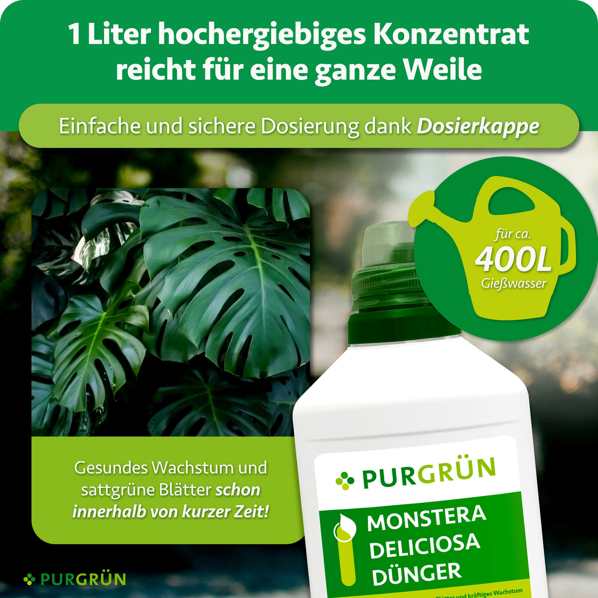 Ein Liter Monstera-Deliciosa-Dünger als ergiebiges Konzentrat für ca. 400 Liter Gießwasser, einfach dosierbar mit der Dosierkappe.