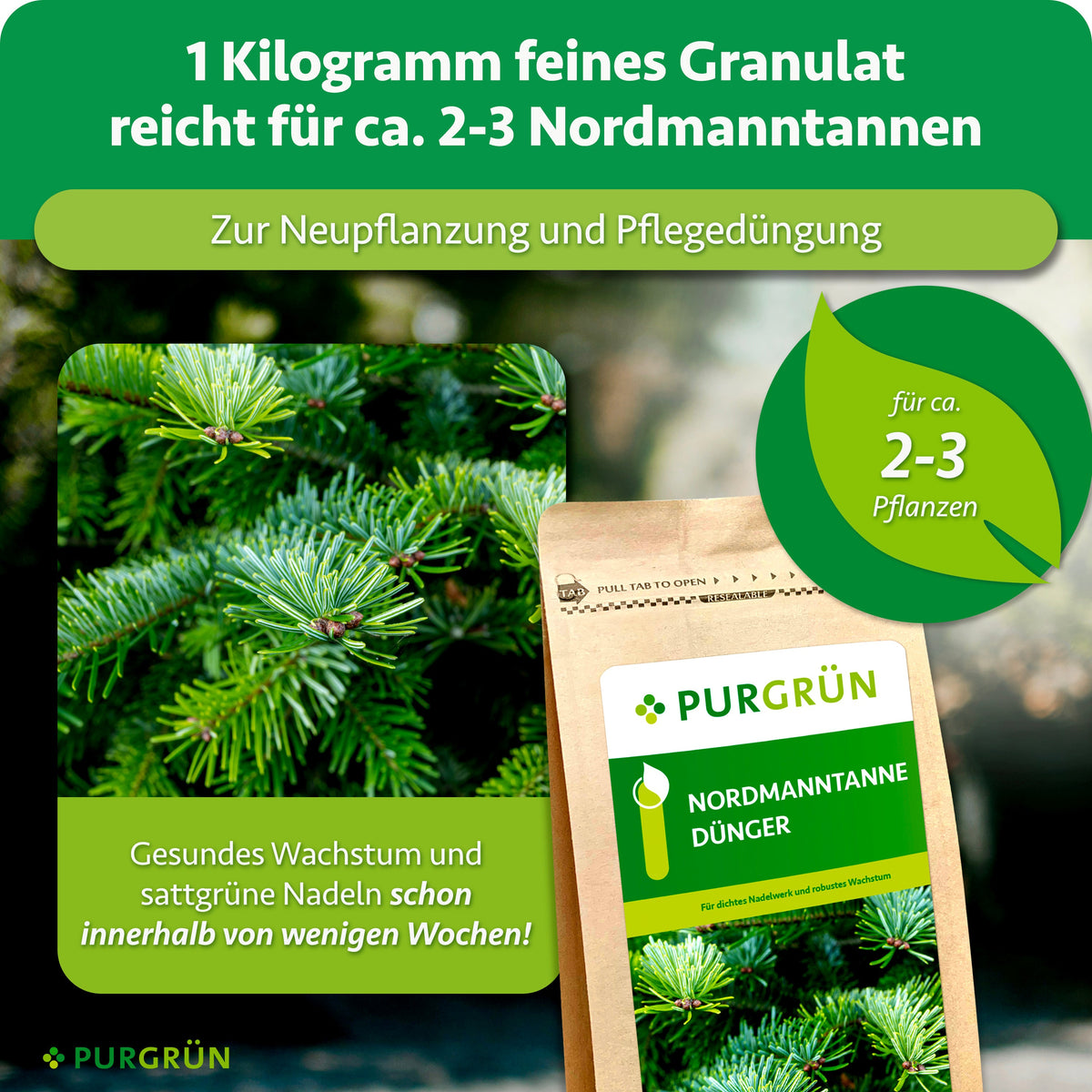 1 kg Granulat reicht für ca. 2–3 Nordmanntannen und eignet sich zur Neupflanzung und Pflegedüngung.
