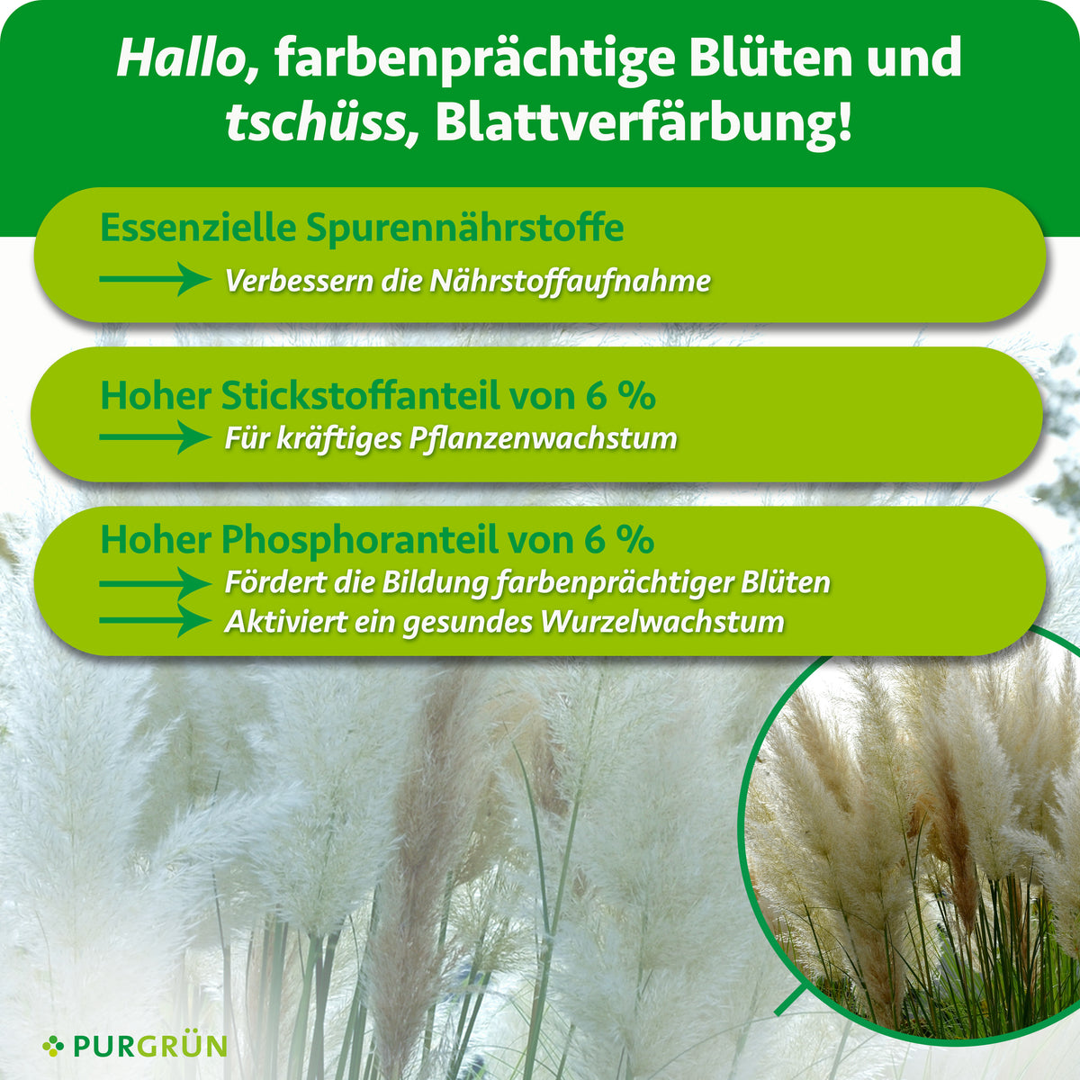 Spurennährstoffe verbessern die Nährstoffaufnahme; 6 % Stickstoff unterstützen kräftiges Wachstum, 6 % Phosphor die Blüten- und Wurzelbildung.