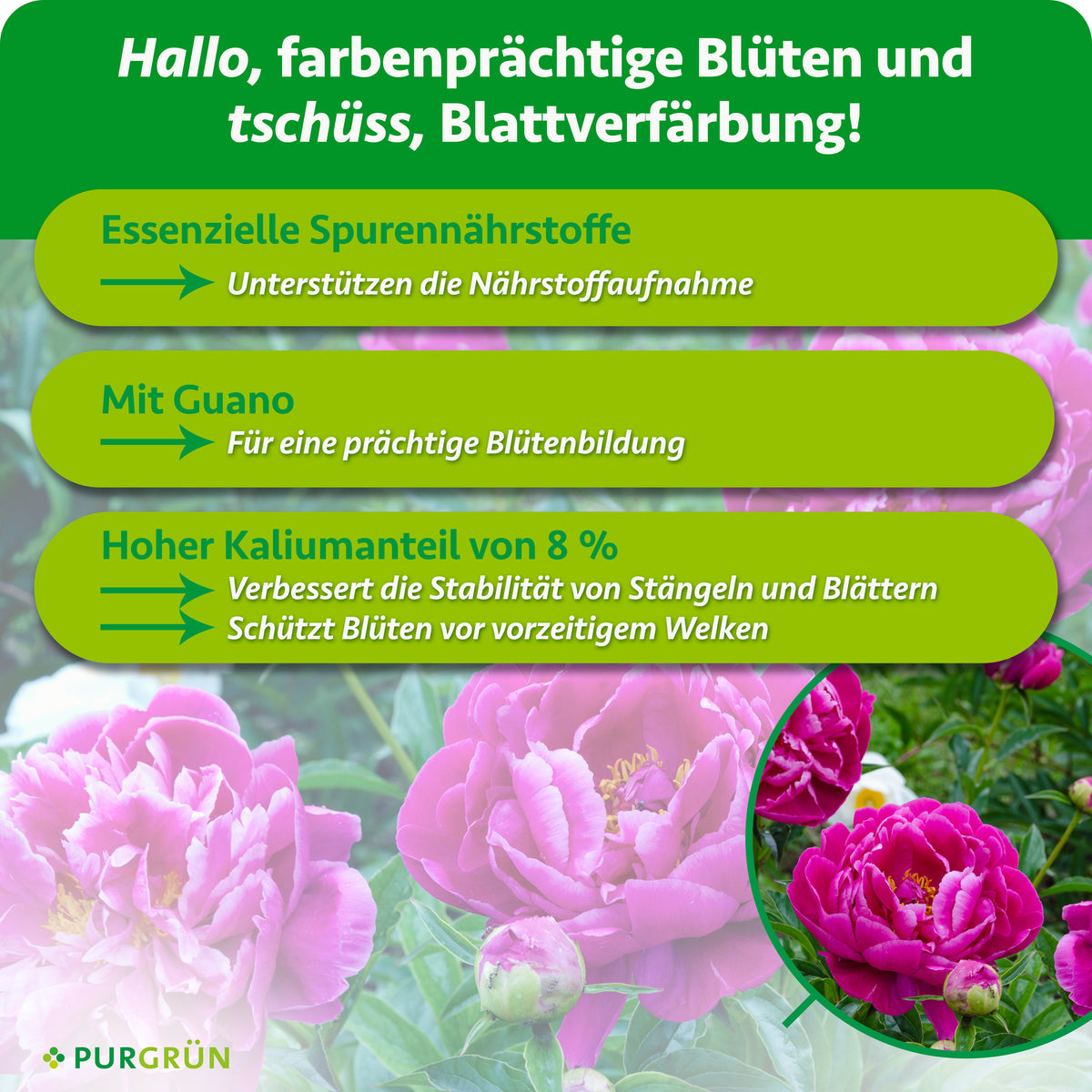 Essenzielle Spurennährstoffe unterstützen die Nährstoffaufnahme und 8 % Kalium stärken Stängel und Blätter und schützen Blüten vor vorzeitigem Welken. Mit Guano für eine prächtige Blütenbildung.