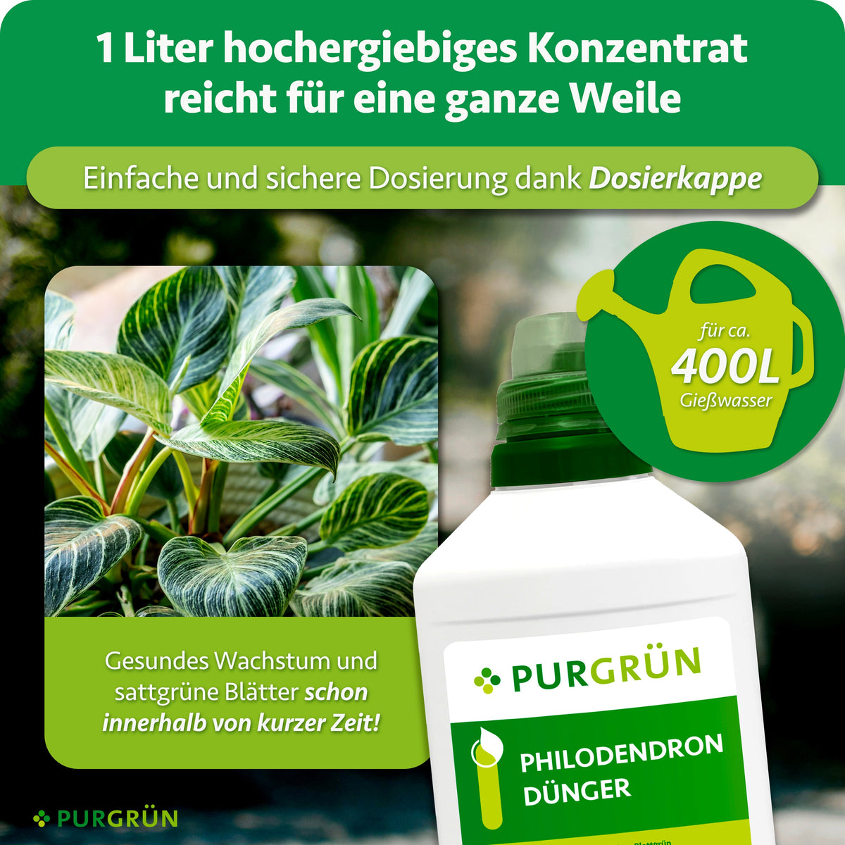 1 Liter Konzentrat reicht dank Dosierkappe für ca. 400 Liter Gießwasser und soll sattgrüne Blätter innerhalb kurzer Zeit fördern.
