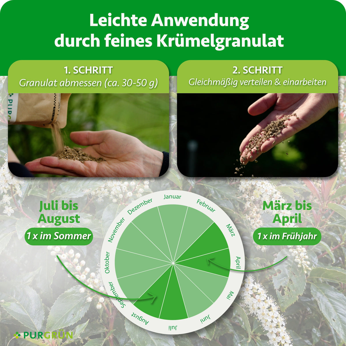 Anwendung: ca. 30–50 g Granulat abmessen, gleichmäßig verteilen und einarbeiten; einmal im März bis April und einmal im Juli bis August düngen.