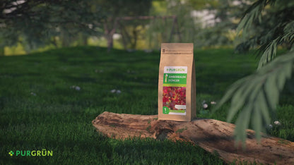Bio-Amberbaum-Dünger 1 kg