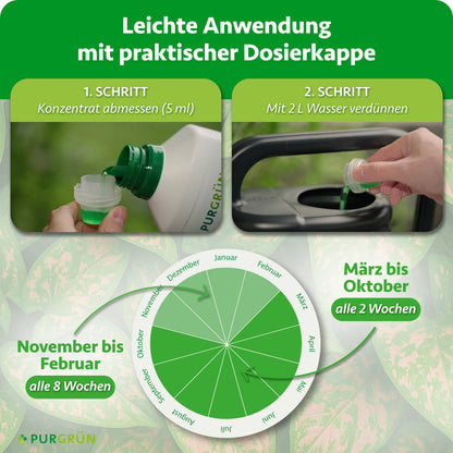 Anwendung: 5 ml Konzentrat abmessen und mit 2 l Wasser verdünnen. Von März bis Oktober alle 2 Wochen, von November bis Februar alle 8 Wochen düngen.