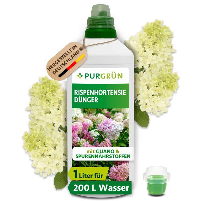 Purgrün Rispenhortensie-Dünger, 1 Liter, mit grüner Dosierkappe und cremeweißen Rispenhortensien; ausreichend für ca. 200 Liter Gießwasser.