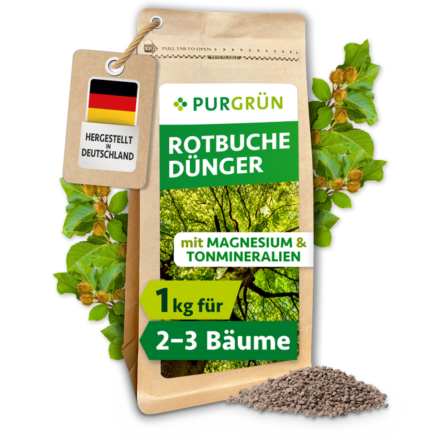 Purgrün Rotbuche-Dünger im wiederverschließbaren 1-kg-Beutel, umgeben von Rotbuchenblättern und feinem Granulat.