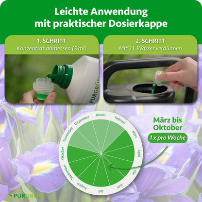 Anwendung: 5 ml Konzentrat abmessen, mit 2 Litern Wasser verdünnen und von März bis Oktober einmal pro Woche düngen.
