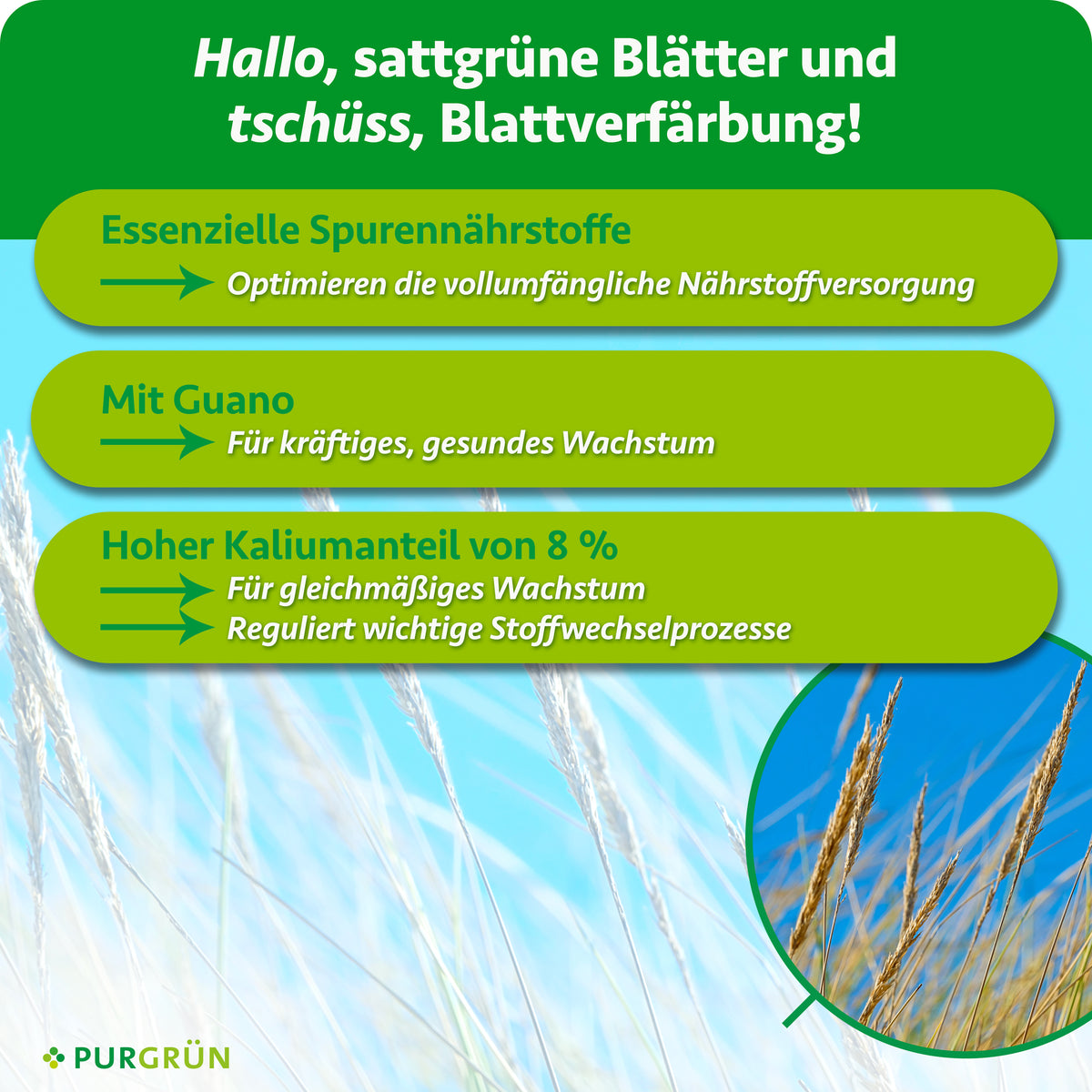 Essenzielle Spurennährstoffe optimieren die Nährstoffversorgung und 8 % Kalium unterstützen gleichmäßiges Wachstum sowie wichtige Stoffwechselprozesse. Mit Guano für kräftiges, gesundes Wachstum.