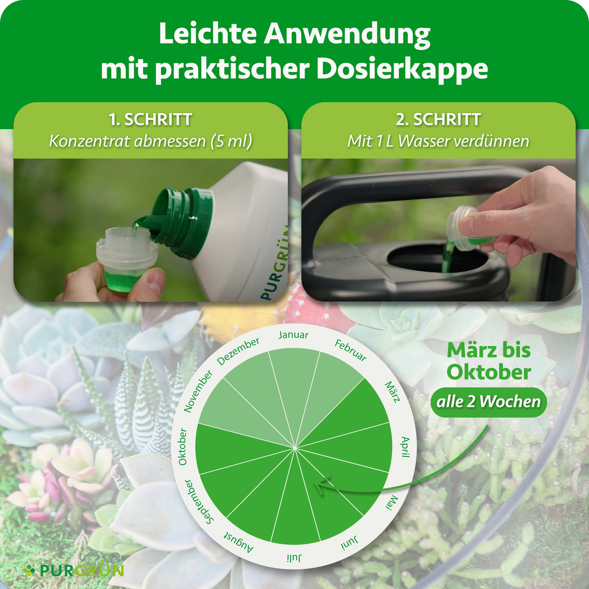 Anwendung: 5 ml Konzentrat abmessen, mit 1 Liter Wasser verdünnen und von März bis Oktober alle 2 Wochen düngen.