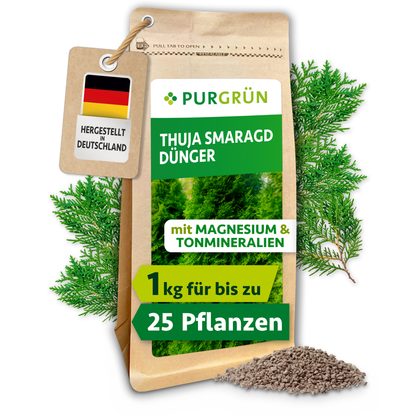 Purgrün Thuja-Smaragd-Dünger, 1 kg, vor Thuja-Zweigen und Granulat; mit Magnesium und Tonmineralien für bis zu 25 Heckenpflanzen.