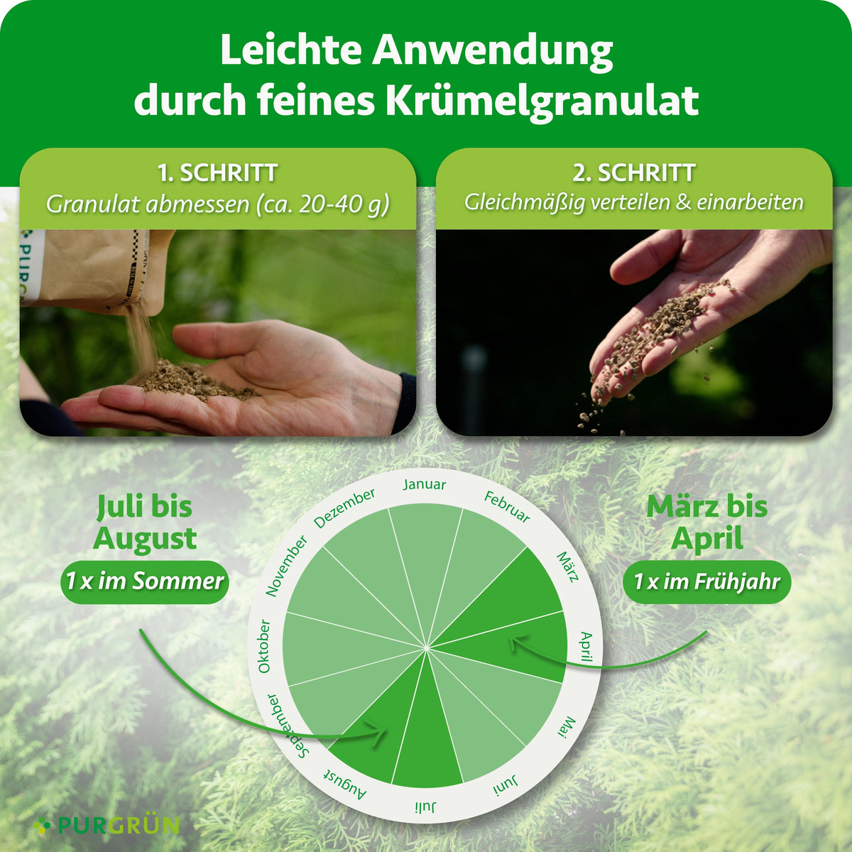 Anwendung: ca. 20–40 g Granulat abmessen, gleichmäßig verteilen und einarbeiten. Je 1 x im Frühjahr von März bis April und 1 x im Sommer von Juli bis August düngen.