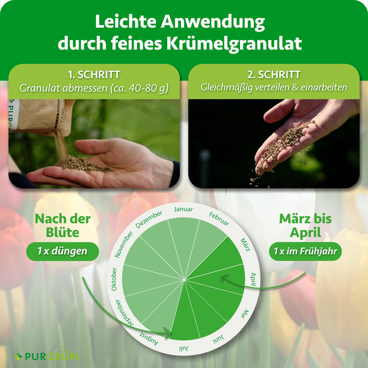 Ca. 40–80 g Granulat abmessen, gleichmäßig verteilen und einarbeiten. Einmal von März bis April und einmal nach der Blüte düngen.