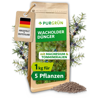 Purgrün Wacholder-Dünger im 1-kg-Beutel mit Wacholderzweigen und feinem Granulat; ausreichend für ca. 5 Pflanzen.