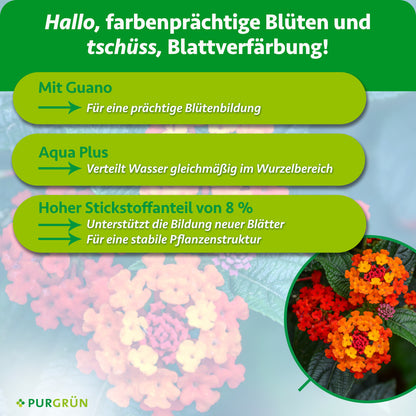Mit Guano für eine prächtige Blütenbildung. Aqua Plus verteilt Wasser gleichmäßig im Wurzelbereich und 8 % Stickstoff unterstützen neue Blätter und eine stabile Pflanzenstruktur.