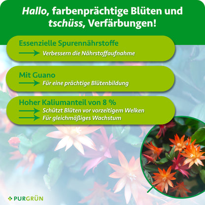 Essenzielle Spurennährstoffe verbessern die Nährstoffaufnahme und 8 % Kalium schützen vor vorzeitigem Welken und fördern gleichmäßiges Wachstum. Mit Guano für eine prächtige Blütenbildung.