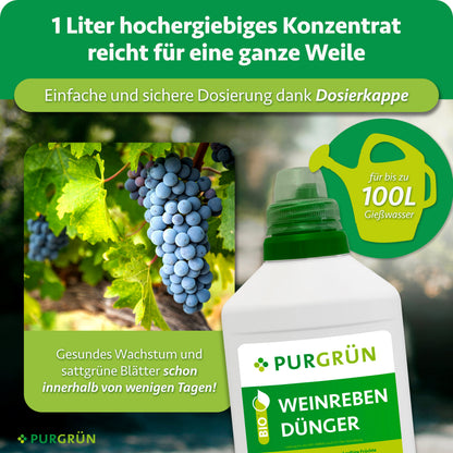 Eine Flasche Purgrün Bio-Weinreben-Dünger 1 Liter ist mit grünen Trauben abgebildet. Der Text weist auf das NPK-Verhältnis von 3+2+6 hin; 1 Liter ergibt bis zu 100 Liter für gesundes Wachstum innerhalb weniger Tage. Eine Gießkannengrafik ist ebenfalls enthalten.