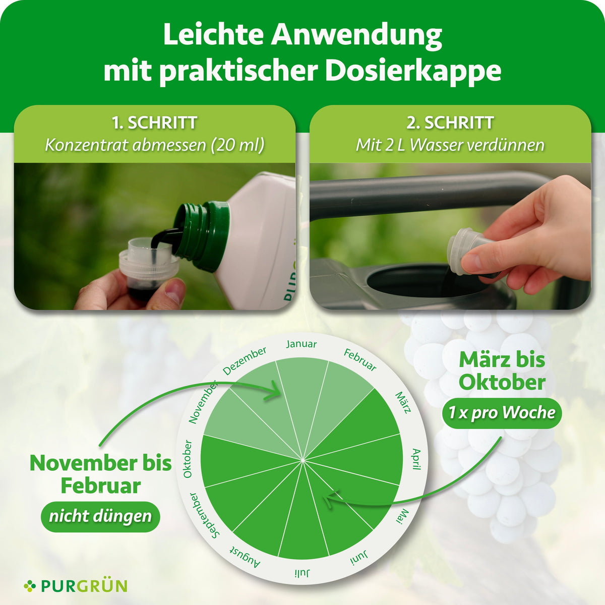 20 ml Bio-Weinreben-Dünger abmessen und mit 2 L Wasser verdünnen; von März bis Oktober 1x pro Woche, von November bis Februar nicht düngen.