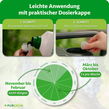 20 ml Bio-Weinreben-Dünger abmessen und mit 2 L Wasser verdünnen; von März bis Oktober 1x pro Woche, von November bis Februar nicht düngen.